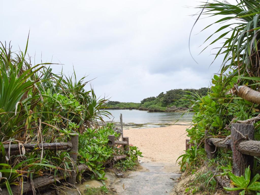 Surrounding environment