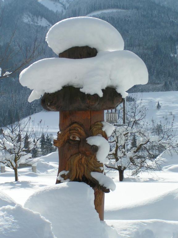 Herzoghof - 5