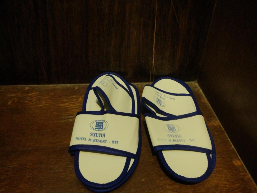 Sylvia Hotel Budget Kupang photo