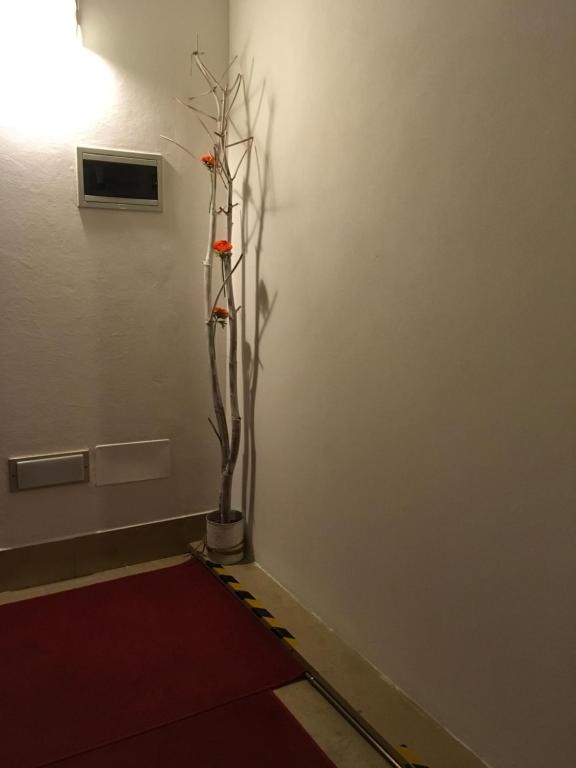 Hotel Cortina photo