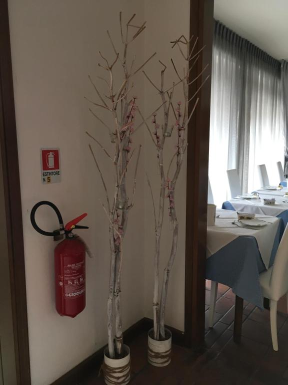 Hotel Cortina photo
