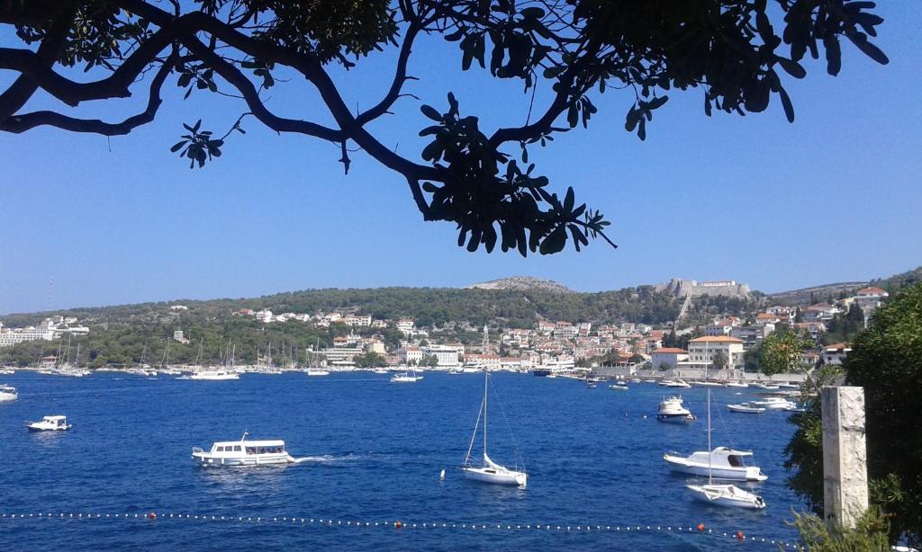 Apartman Radosic — Hotel in Hvar