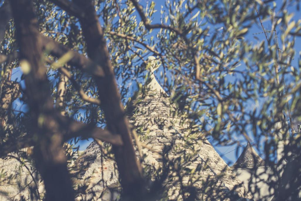 Trullo del Sorriso - 5