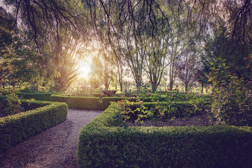 Garden