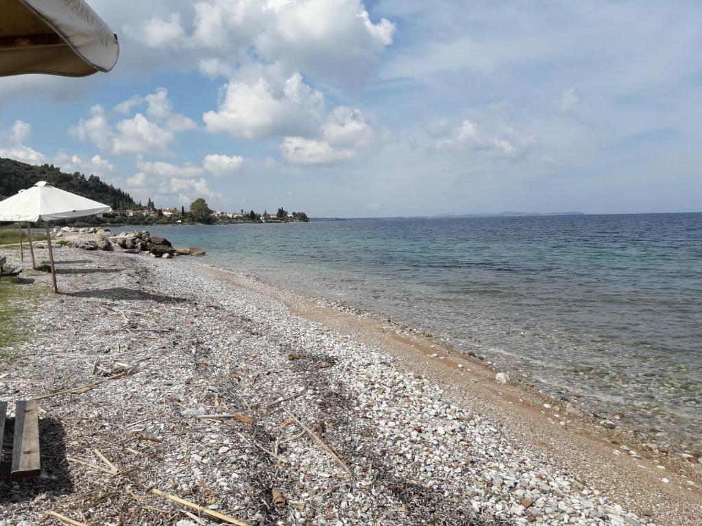 Hotel Dimitra photo
