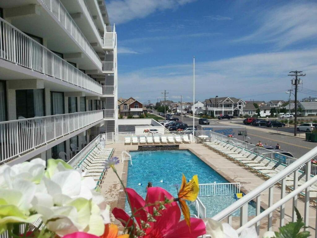 Lotus Inn photo