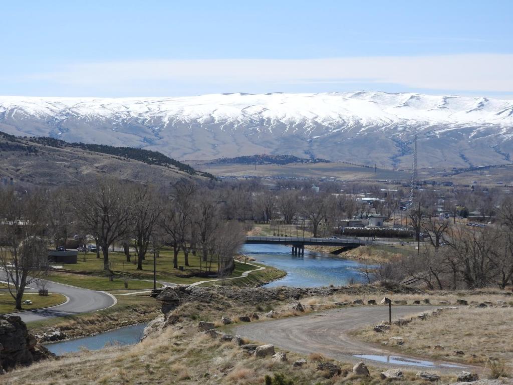 アクティビティ