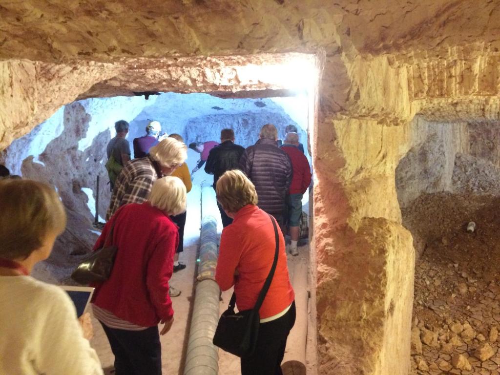 周辺観光スポット