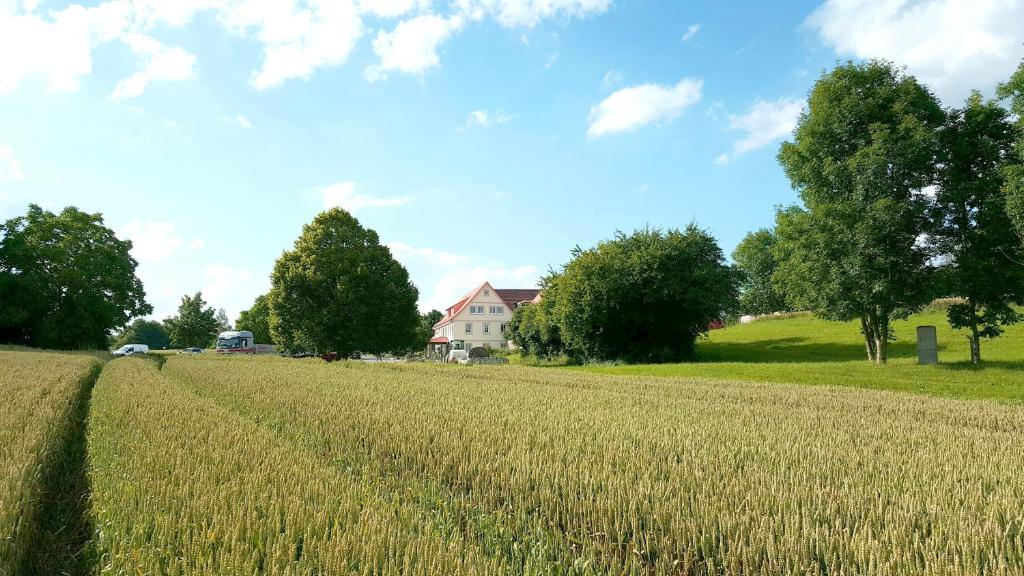 Landhotel Steigenhaus photo