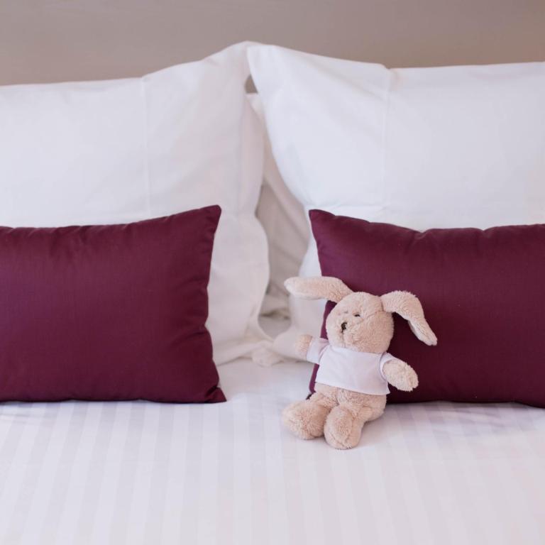 Programlehetőségek