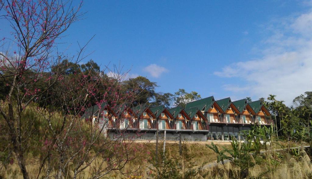 Green Roof Inn photo
