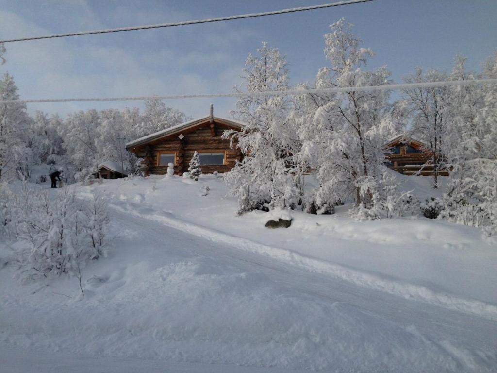 Jarfjord Arctic Aurora Lodge photo