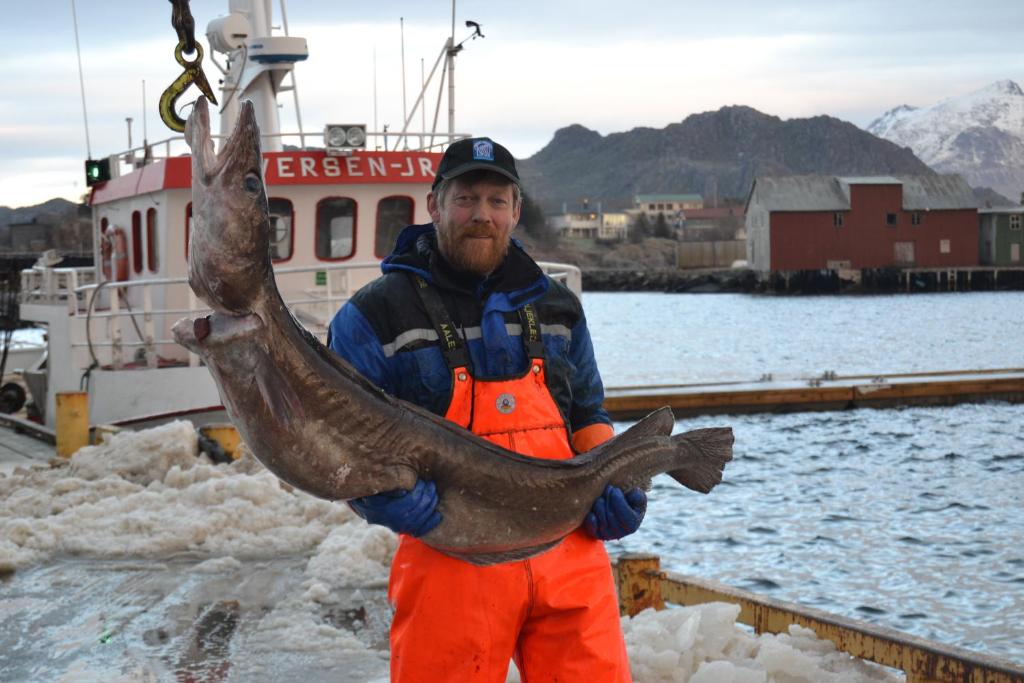 Sjøstrand Rorbuer v Børge Iversen AS photo