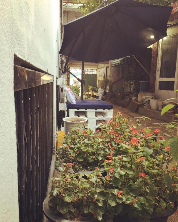 MK Guesthouse