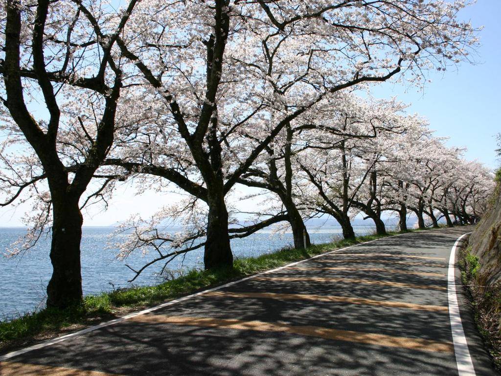 Surrounding environment