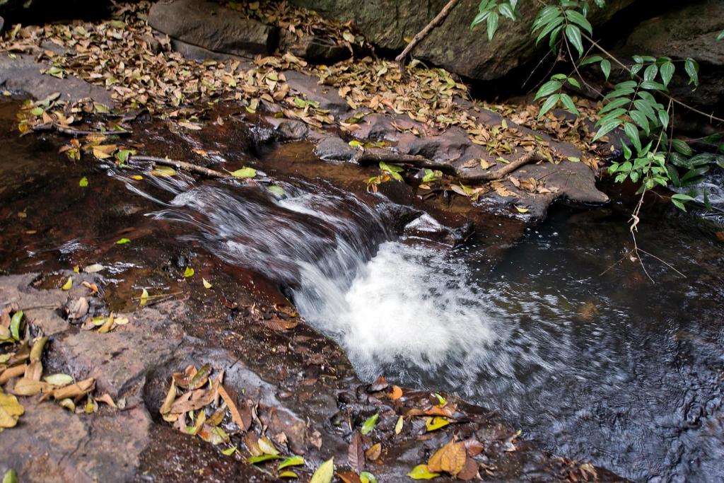 Surrounding environment