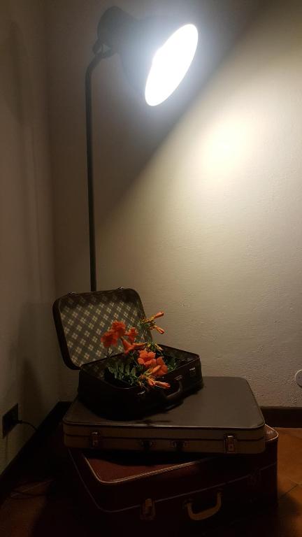 Granny's house - 3