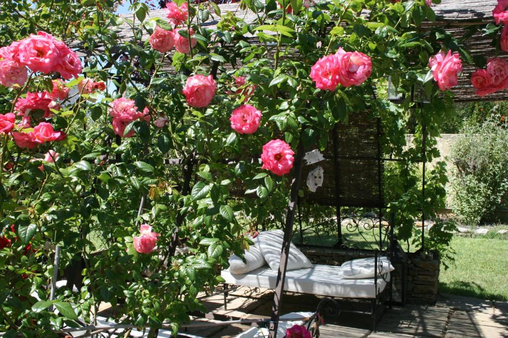 Jade En Provence - 4