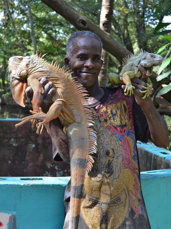 Surrounding environment