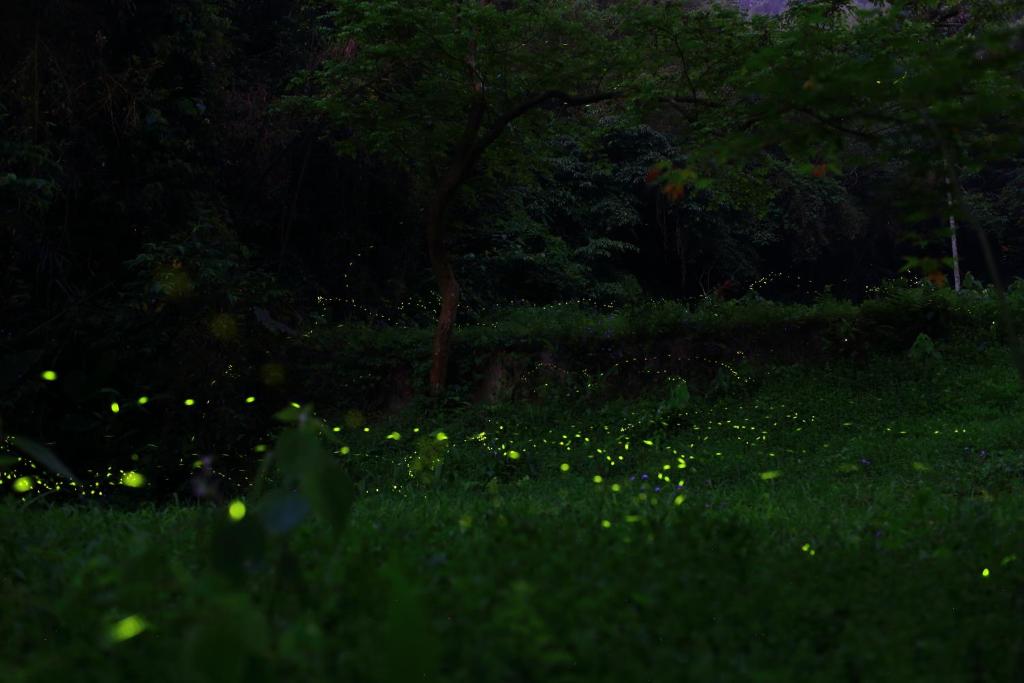 Programlehetőségek