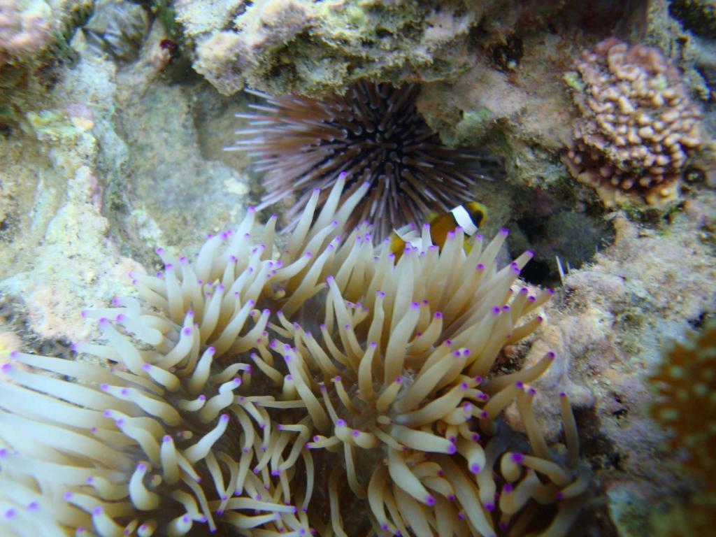 Sports and activities