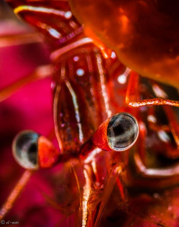 Sports and activities