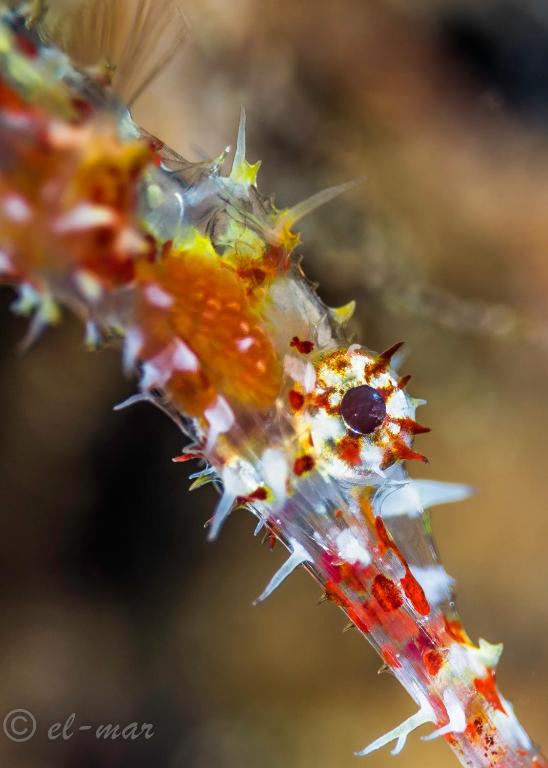 Sports and activities