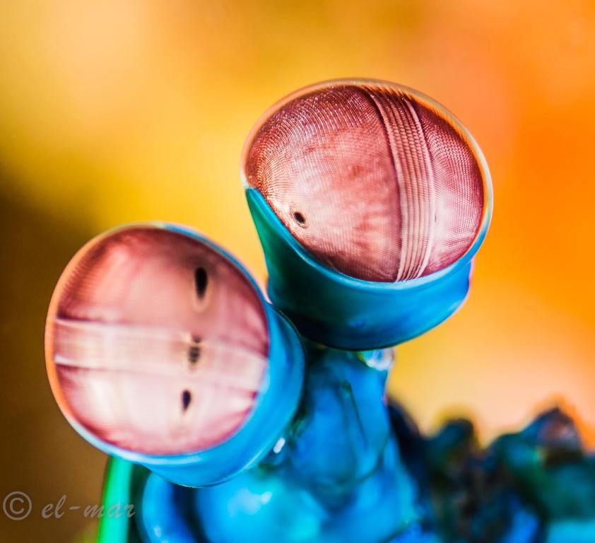 Sports and activities