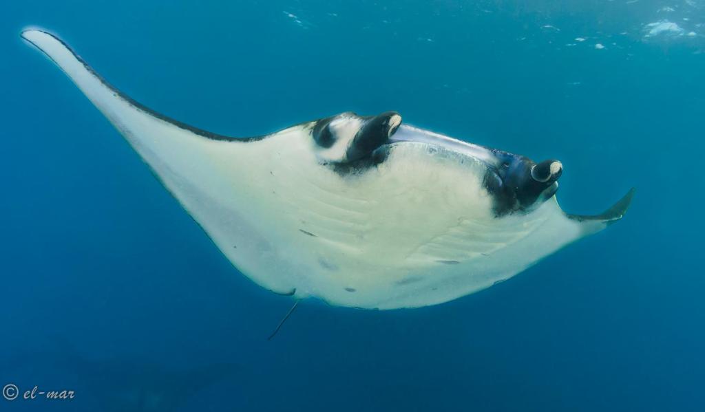 Sports and activities