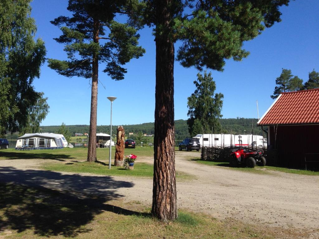 Photo 6 of Ljusdals Camping