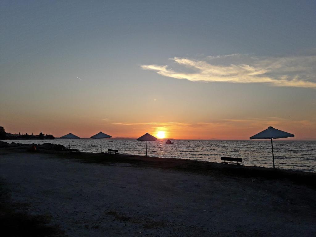 Hotel Dimitra photo