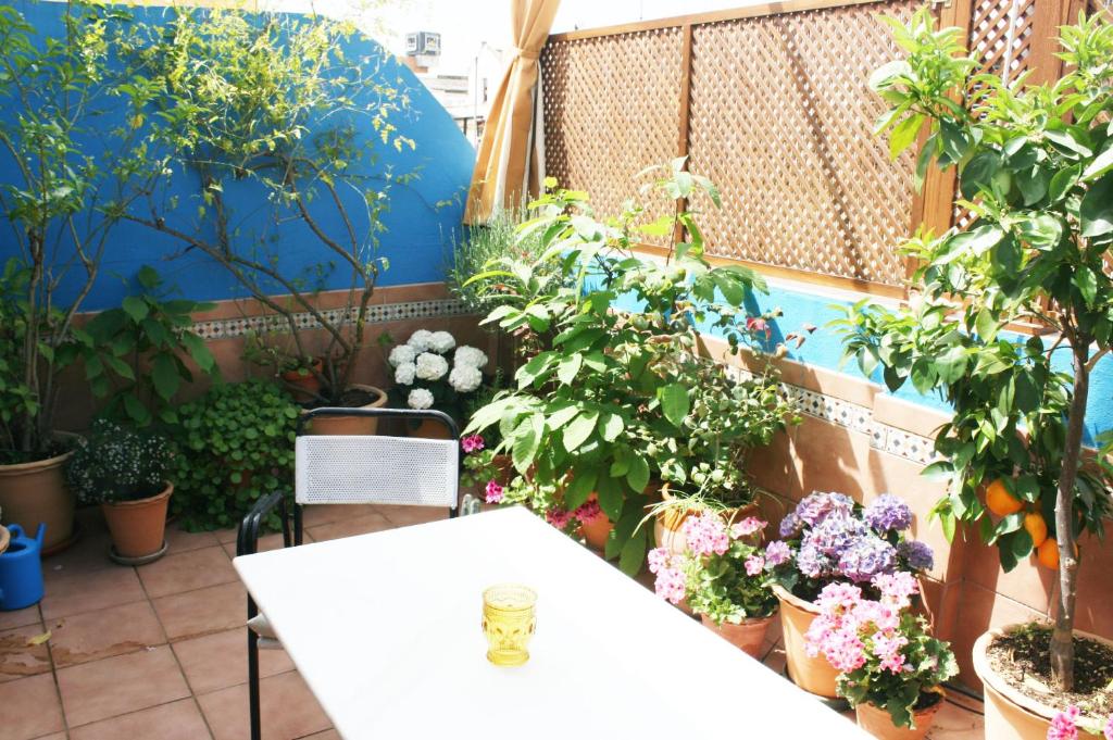 La Terraza Azul - 2