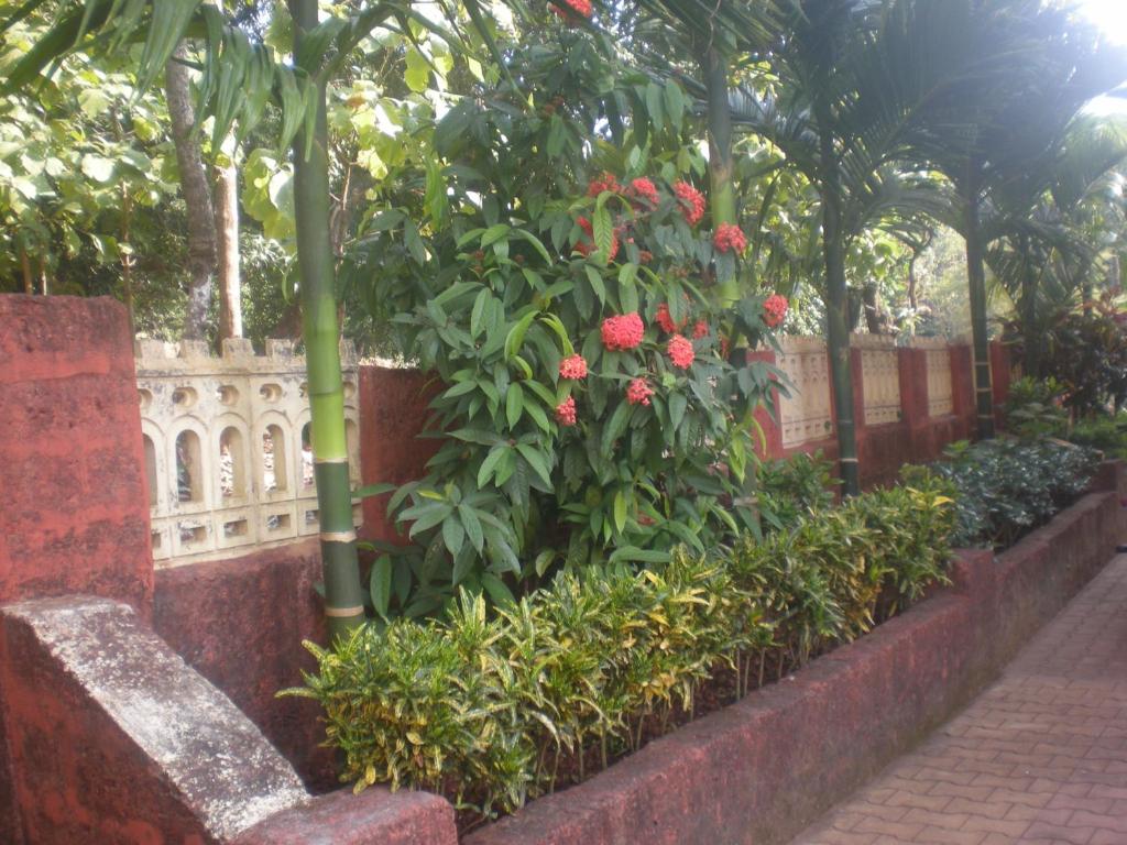 Atithi photo