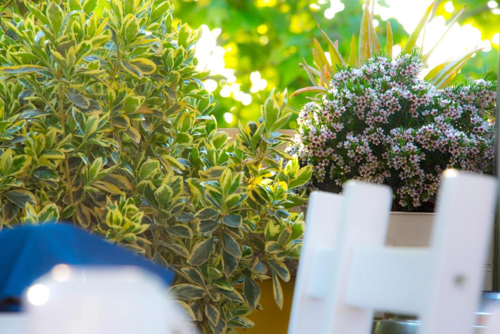 ระเบียง/ชานเรือน