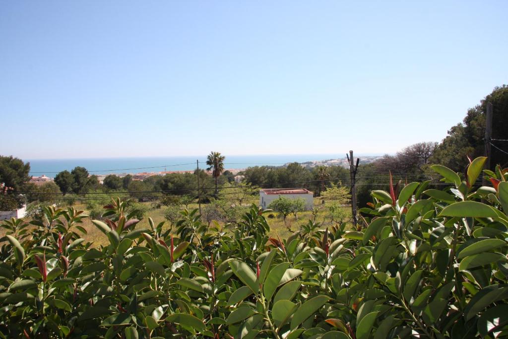 Hotel Serra D'írta - 1