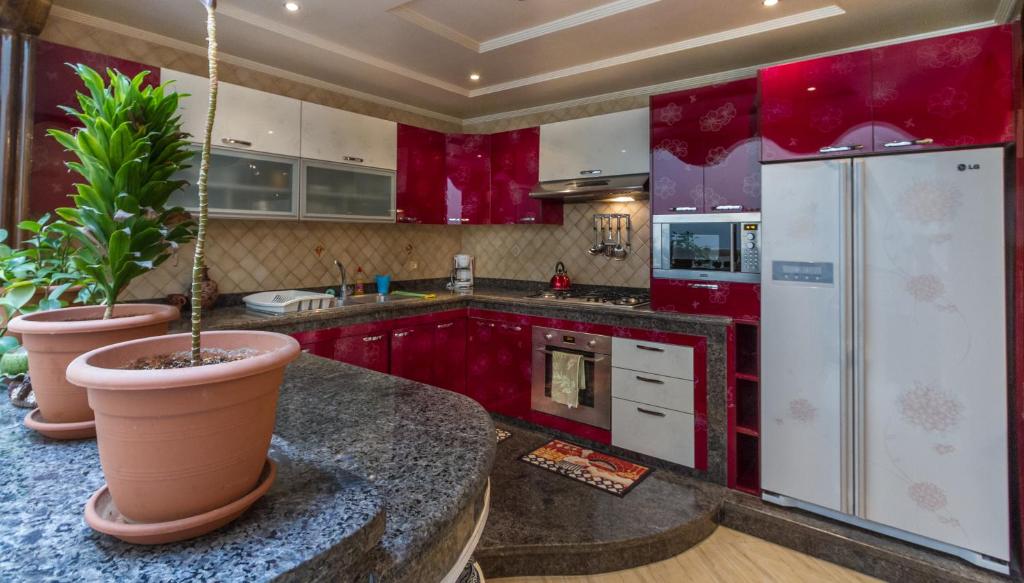 Umbrella Holidays l 1Bd room l photo
