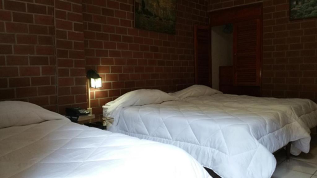 Hotel Rex photo