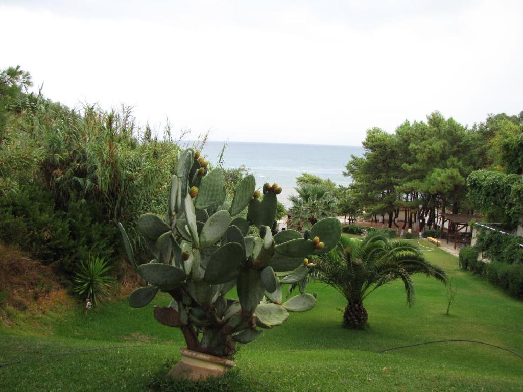 Panas Hotel — Beach in Pesádha, Ionian Islands
