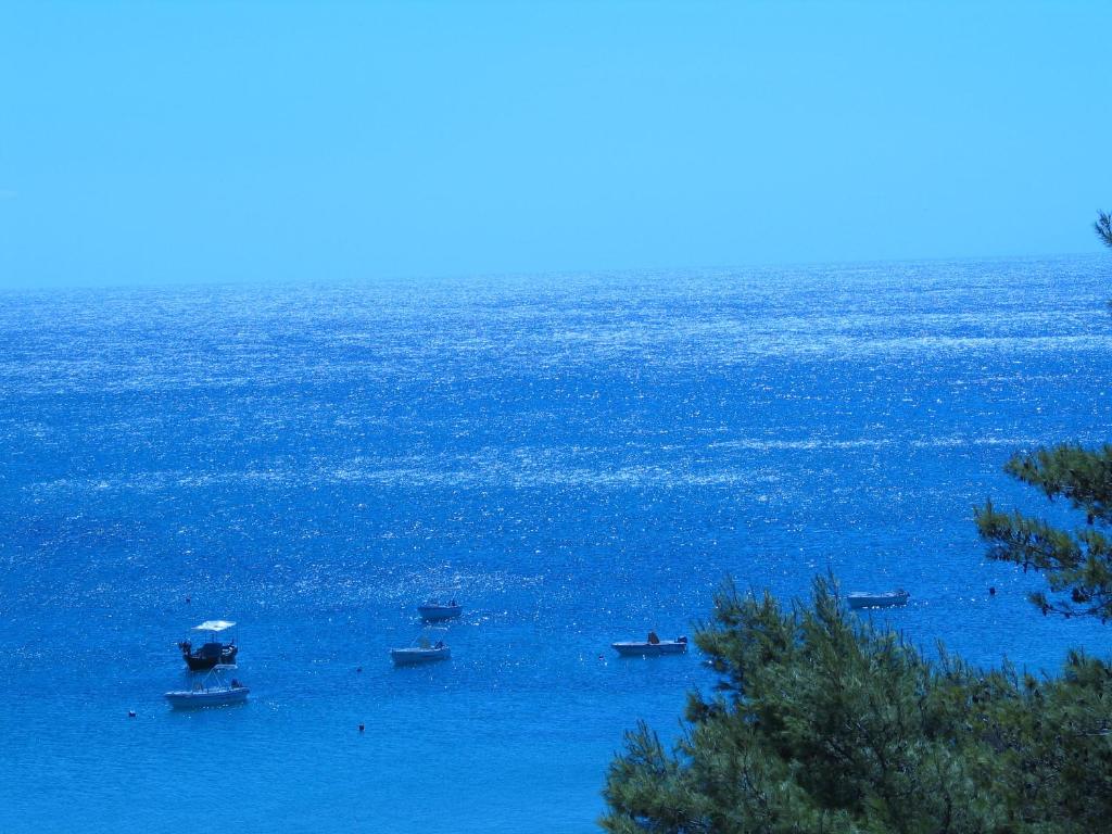 Panas Hotel — Attractions in the area in Pesádha, Ionian Islands