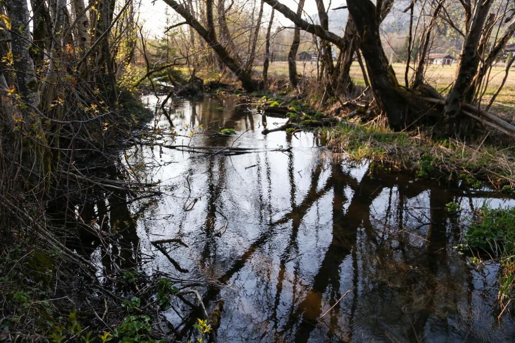 Surrounding environment