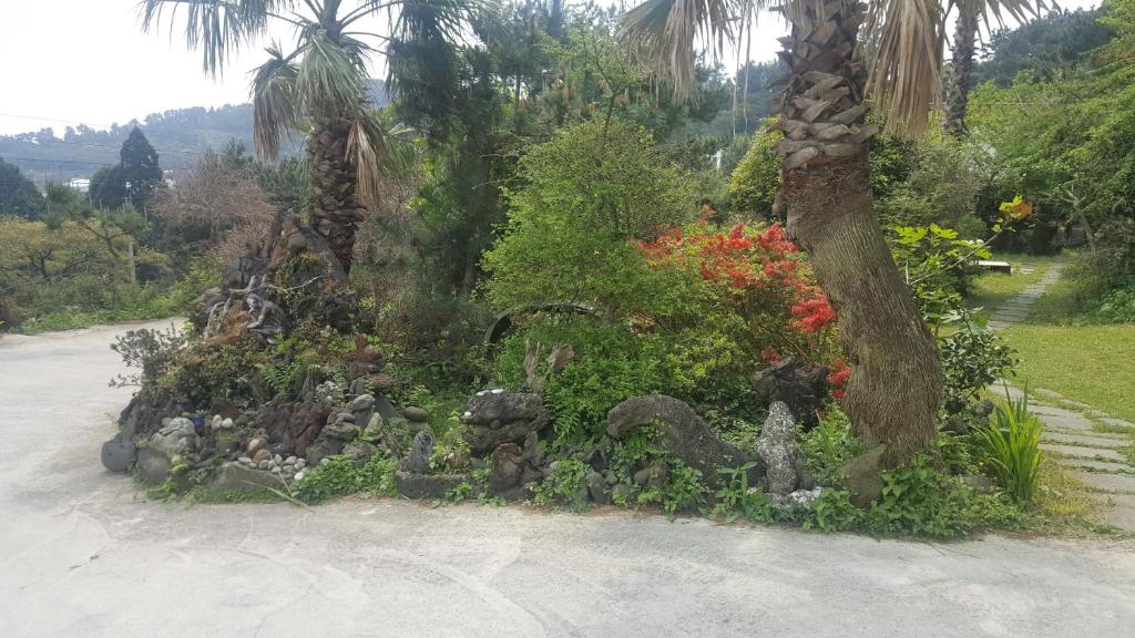 Surrounding environment