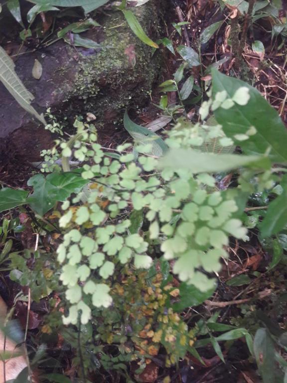 Sports and activities