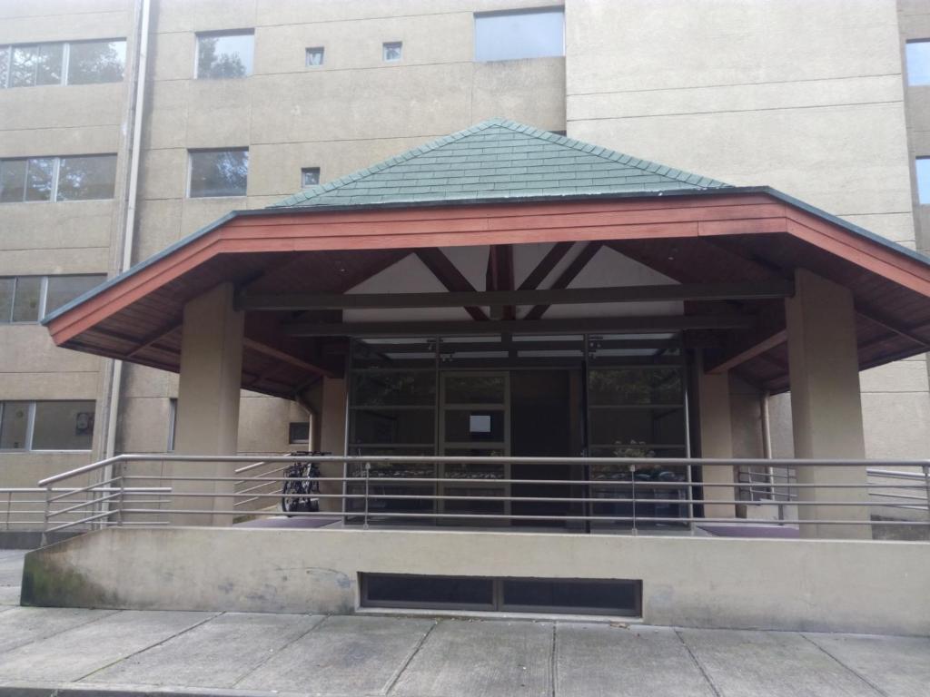 Villarrica Mirador Apartment - 4