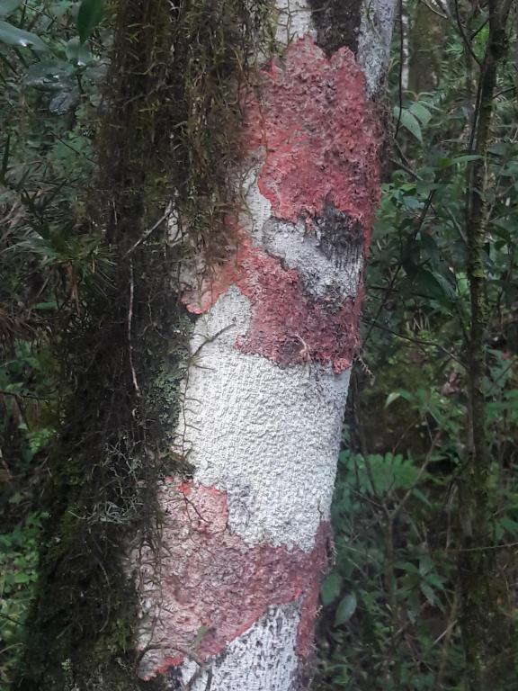 Sports and activities