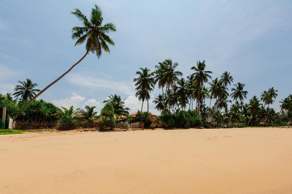 Blue Parrot Beach Villa photo