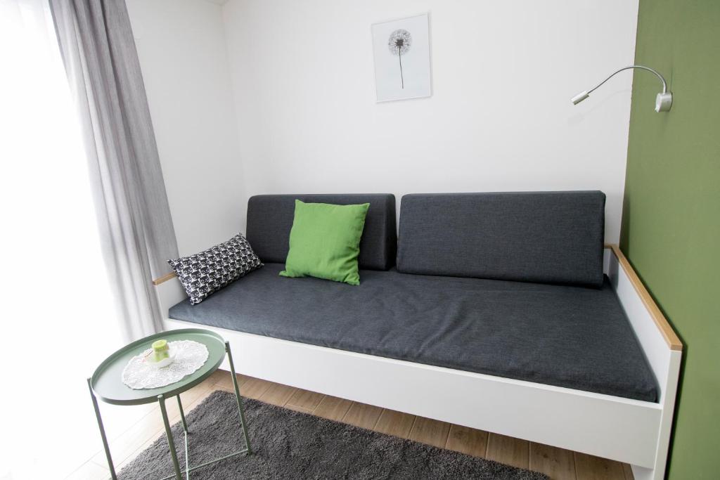 Apartma Grze photo