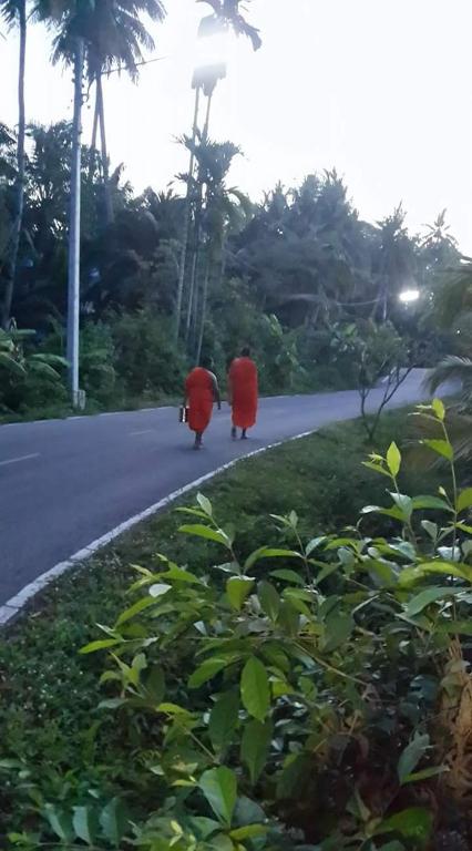 Programlehetőségek