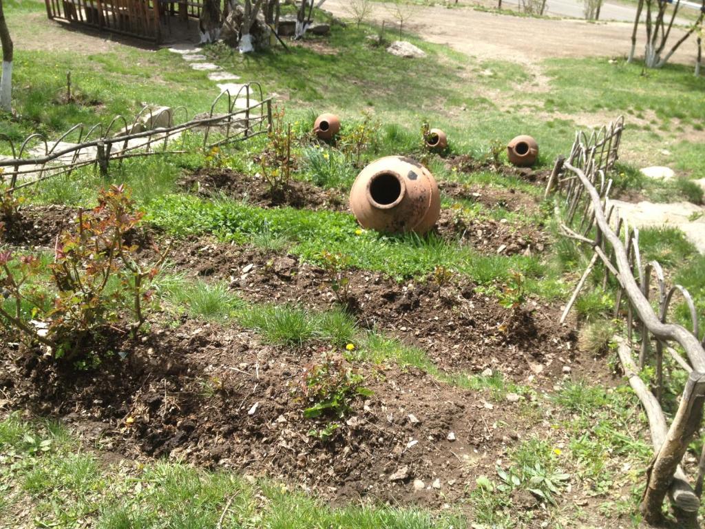 Surrounding environment