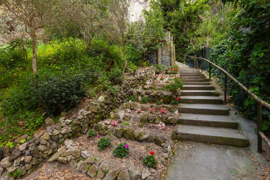 Nitrodi Experience — Hotel in Ischia Island