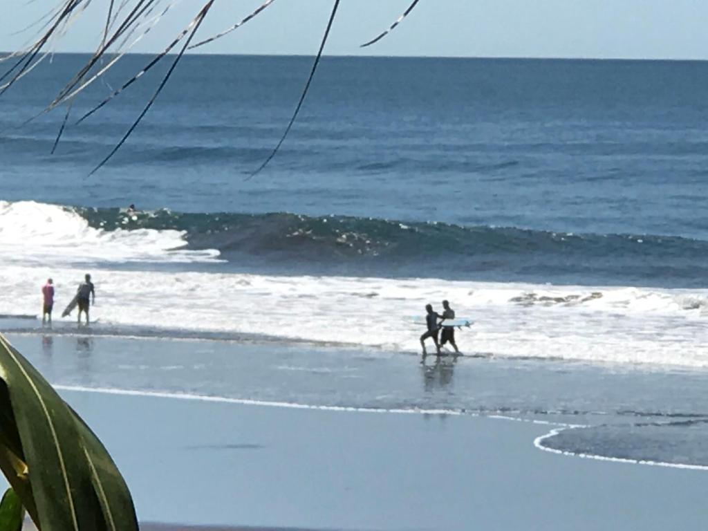 Coco Blue Resort photo
